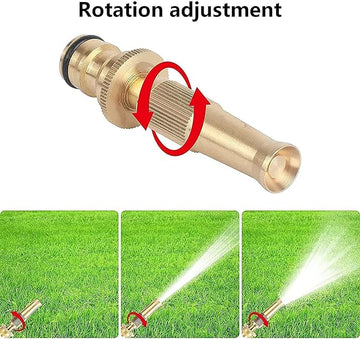 3646