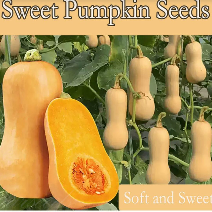 13770
