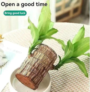 3719