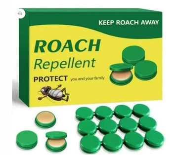 5606