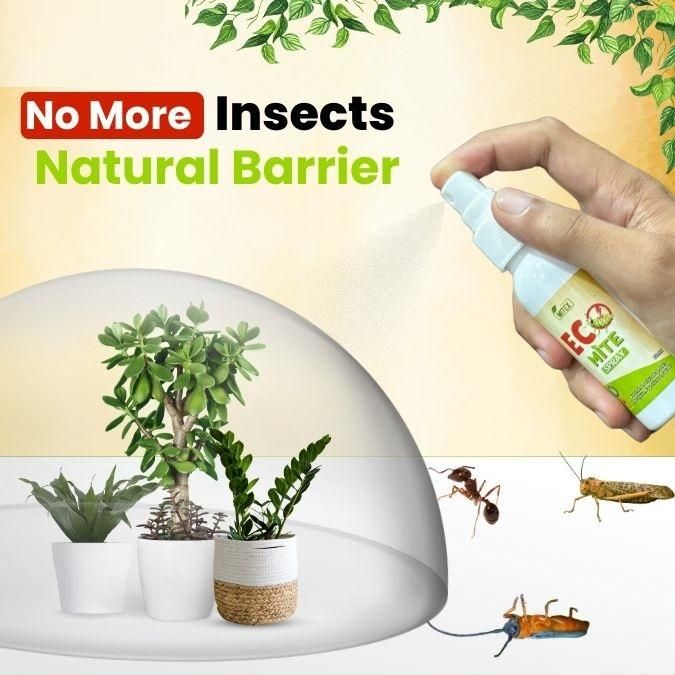 3697