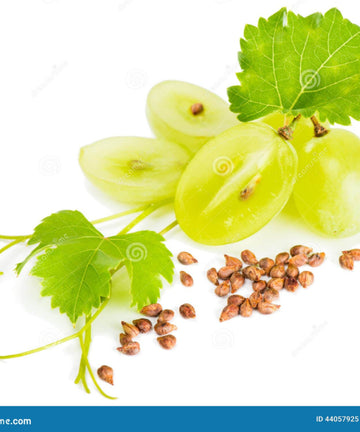4653