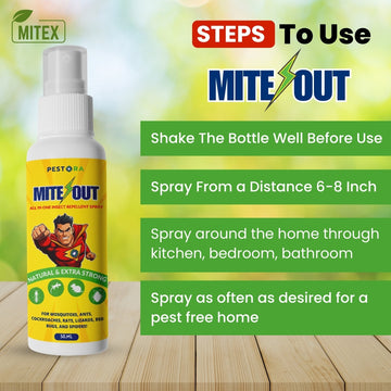 6295