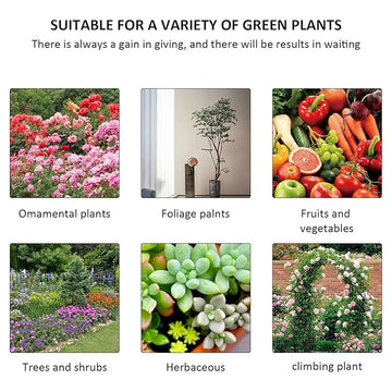 3187